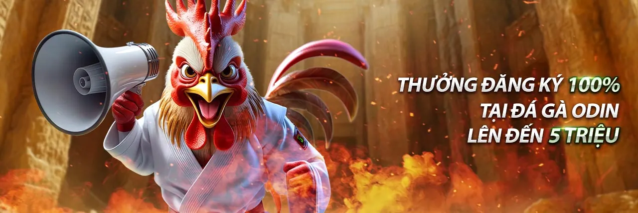 Nền tảng cá cược và giải trí hello88 asian với ưu đãi hấp dẫn